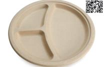 Assiette 9 pouces assiette jetable assiette ronde assiette bagasse mediacongo